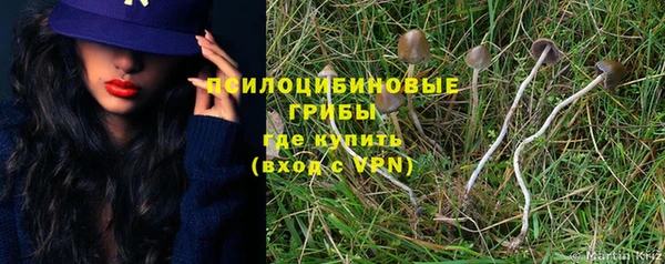 прущие крисы Горняк