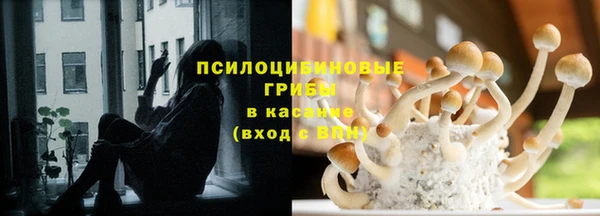 хмурый Волоколамск
